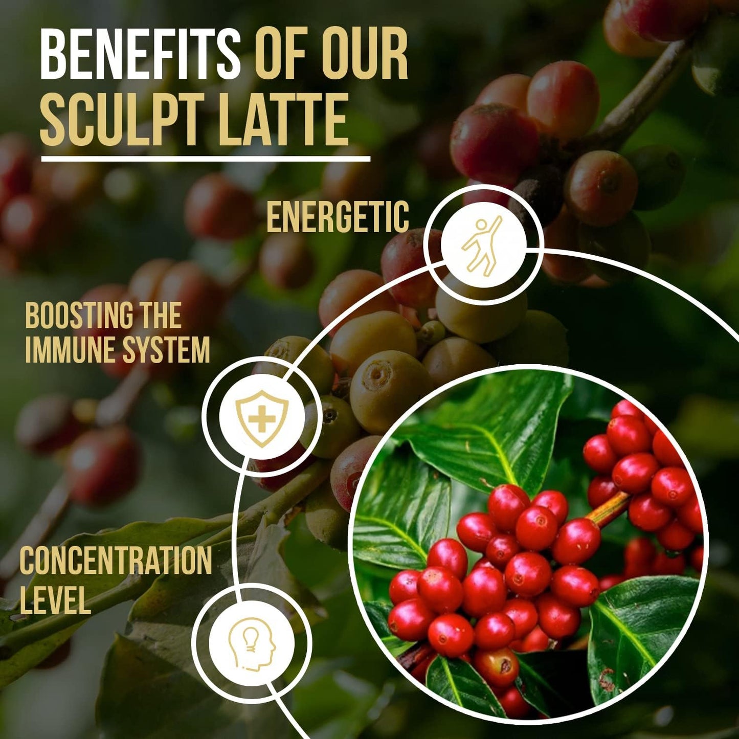 Sculpt Latte Coffee